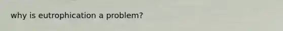 why is eutrophication a problem?