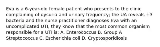 Eva is a 6-year-old female patient who presents to the clinic complaining of dysuria and urinary frequency; the UA reveals +3 bacteria and the nurse practitioner diagnoses Eva with an uncomplicated UTI, they know that the most common organism responsible for a UTI is: A. Enterococcus B. Group A Streptococcus C. Escherichia coli D. Cryptosporidiosis