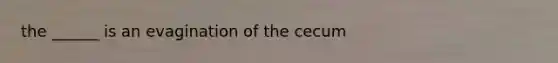 the ______ is an evagination of the cecum