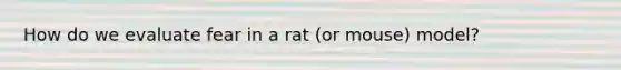 How do we evaluate fear in a rat (or mouse) model?