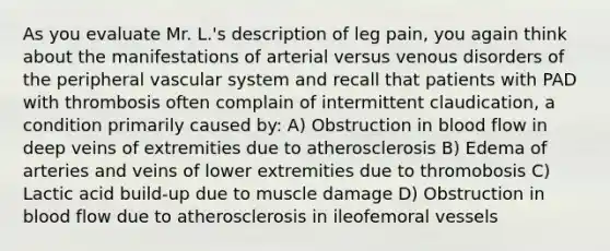 As you evaluate Mr. L.'s description of leg pain, you again think about the manifestations of arterial versus venous disorders of the peripheral vascular system and recall that patients with PAD with thrombosis often complain of intermittent claudication, a condition primarily caused by: A) Obstruction in blood flow in deep veins of extremities due to atherosclerosis B) Edema of arteries and veins of lower extremities due to thromobosis C) Lactic acid build-up due to muscle damage D) Obstruction in blood flow due to atherosclerosis in ileofemoral vessels