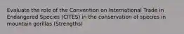 Evaluate the role of the Convention on International Trade in Endangered Species (CITES) in the conservation of species in mountain gorillas (Strengths)