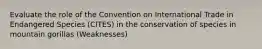 Evaluate the role of the Convention on International Trade in Endangered Species (CITES) in the conservation of species in mountain gorillas (Weaknesses)