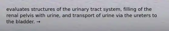 evaluates structures of the urinary tract system, filling of the renal pelvis with urine, and transport of urine via the ureters to the bladder. →