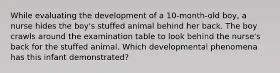 While evaluating the development of a 10-month-old boy, a nurse hides the boy's stuffed animal behind her back. The boy crawls around the examination table to look behind the nurse's back for the stuffed animal. Which developmental phenomena has this infant demonstrated?