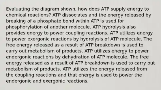 Evaluating the diagram shown, how does ATP supply energy to chemical reactions? ATP dissociates and the energy released by breaking of a phosphate bond within ATP is used for phosphorylation of another molecule. ATP hydrolysis also provides energy to power coupling reactions. ATP utilizes energy to power exergonic reactions by hydrolysis of ATP molecule. The free energy released as a result of ATP breakdown is used to carry out metabolism of products. ATP utilizes energy to power endergonic reactions by dehydration of ATP molecule. The free energy released as a result of ATP breakdown is used to carry out metabolism of products. ATP utilizes the energy released from the coupling reactions and that energy is used to power the endergonic and exergonic reactions.