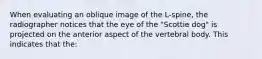 When evaluating an oblique image of the L-spine, the radiographer notices that the eye of the "Scottie dog" is projected on the anterior aspect of the vertebral body. This indicates that the: