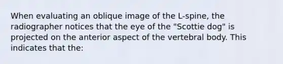 When evaluating an oblique image of the L-spine, the radiographer notices that the eye of the "Scottie dog" is projected on the anterior aspect of the vertebral body. This indicates that the: