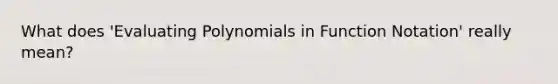 What does 'Evaluating Polynomials in Function Notation' really mean?