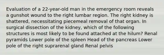 Evaluation of a 22-year-old man in the emergency room reveals a gunshot wound to the right lumbar region. The right kidney is shattered, necessitating piecemeal removal of that organ. In surgical dissection of the kidney, which of the following structures is most likely to be found attached at the hilum? Renal pyramids Lower pole of the spleen Head of the pancreas Lower pole of the right suprarenal gland Renal pelvis