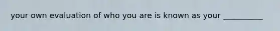 your own evaluation of who you are is known as your __________