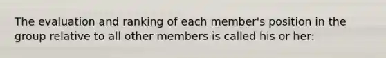 The evaluation and ranking of each member's position in the group relative to all other members is called his or her: