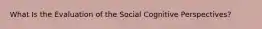 What Is the Evaluation of the Social Cognitive Perspectives?