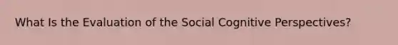 What Is the Evaluation of the Social Cognitive Perspectives?