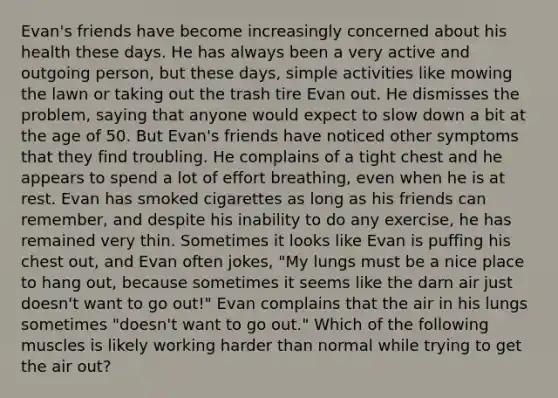 Evan's friends have become increasingly concerned about his health these days. He has always been a very active and outgoing person, but these days, simple activities like mowing the lawn or taking out the trash tire Evan out. He dismisses the problem, saying that anyone would expect to slow down a bit at the age of 50. But Evan's friends have noticed other symptoms that they find troubling. He complains of a tight chest and he appears to spend a lot of effort breathing, even when he is at rest. Evan has smoked cigarettes as long as his friends can remember, and despite his inability to do any exercise, he has remained very thin. Sometimes it looks like Evan is puffing his chest out, and Evan often jokes, "My lungs must be a nice place to hang out, because sometimes it seems like the darn air just doesn't want to go out!" Evan complains that the air in his lungs sometimes "doesn't want to go out." Which of the following muscles is likely working harder than normal while trying to get the air out?