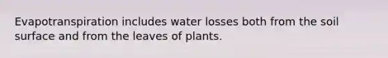 Evapotranspiration includes water losses both from the soil surface and from the leaves of plants.