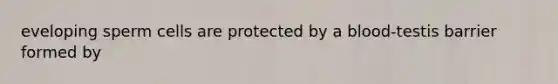 eveloping sperm cells are protected by a blood-testis barrier formed by