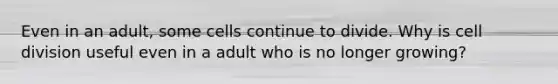 Even in an adult, some cells continue to divide. Why is cell division useful even in a adult who is no longer growing?