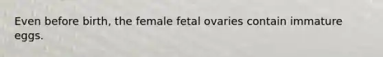 Even before birth, the female fetal ovaries contain immature eggs.