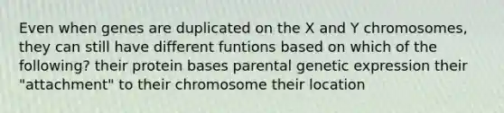 Even when genes are duplicated on the X and Y chromosomes, they can still have different funtions based on which of the following? their protein bases parental genetic expression their "attachment" to their chromosome their location