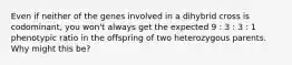 Even if neither of the genes involved in a dihybrid cross is codominant, you won't always get the expected 9 : 3 : 3 : 1 phenotypic ratio in the offspring of two heterozygous parents. Why might this be?