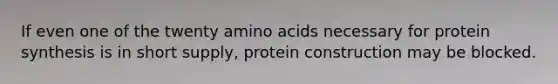 If even one of the twenty amino acids necessary for protein synthesis is in short supply, protein construction may be blocked.