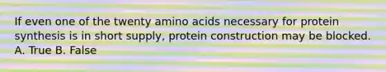 If even one of the twenty <a href='https://www.questionai.com/knowledge/k9gb720LCl-amino-acids' class='anchor-knowledge'>amino acids</a> necessary for <a href='https://www.questionai.com/knowledge/kVyphSdCnD-protein-synthesis' class='anchor-knowledge'>protein synthesis</a> is in short supply, protein construction may be blocked. A. True B. False