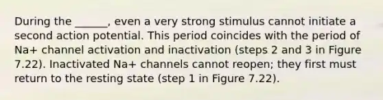 During the ______, even a very strong stimulus cannot initiate a second action potential. This period coincides with the period of Na+ channel activation and inactivation (steps 2 and 3 in Figure 7.22). Inactivated Na+ channels cannot reopen; they first must return to the resting state (step 1 in Figure 7.22).