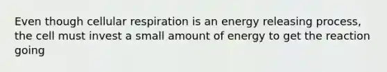 Even though <a href='https://www.questionai.com/knowledge/k1IqNYBAJw-cellular-respiration' class='anchor-knowledge'>cellular respiration</a> is an energy releasing process, the cell must invest a small amount of energy to get the reaction going