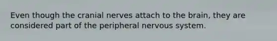 Even though the cranial nerves attach to the brain, they are considered part of the peripheral nervous system.