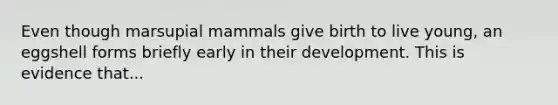 Even though marsupial mammals give birth to live young, an eggshell forms briefly early in their development. This is evidence that...