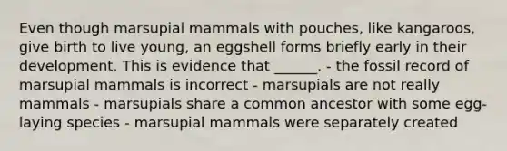 Even though marsupial mammals with pouches, like kangaroos, give birth to live young, an eggshell forms briefly early in their development. This is evidence that ______. - the fossil record of marsupial mammals is incorrect - marsupials are not really mammals - marsupials share a common ancestor with some egg-laying species - marsupial mammals were separately created