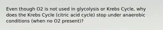 Even though O2 is not used in glycolysis or <a href='https://www.questionai.com/knowledge/kqfW58SNl2-krebs-cycle' class='anchor-knowledge'>krebs cycle</a>, why does the Krebs Cycle (citric acid cycle) stop under anaerobic conditions (when no O2 present)?