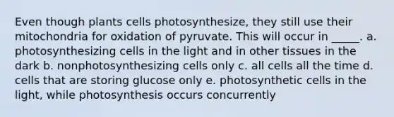 Even though plants cells photosynthesize, they still use their mitochondria for oxidation of pyruvate. This will occur in _____. a. photosynthesizing cells in the light and in other tissues in the dark b. nonphotosynthesizing cells only c. all cells all the time d. cells that are storing glucose only e. photosynthetic cells in the light, while photosynthesis occurs concurrently