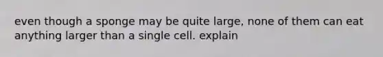 even though a sponge may be quite large, none of them can eat anything larger than a single cell. explain