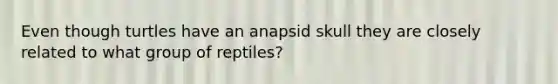 Even though turtles have an anapsid skull they are closely related to what group of reptiles?