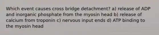 Which event causes cross bridge detachment? a) release of ADP and inorganic phosphate from the myosin head b) release of calcium from troponin c) nervous input ends d) ATP binding to the myosin head