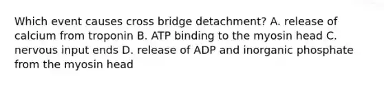 Which event causes cross bridge detachment? A. release of calcium from troponin B. ATP binding to the myosin head C. nervous input ends D. release of ADP and inorganic phosphate from the myosin head