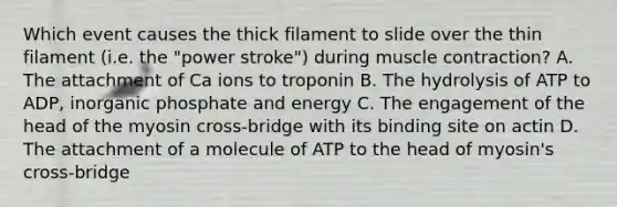 Which event causes the thick filament to slide over the thin filament (i.e. the "power stroke") during muscle contraction? A. The attachment of Ca ions to troponin B. The hydrolysis of ATP to ADP, inorganic phosphate and energy C. The engagement of the head of the myosin cross-bridge with its binding site on actin D. The attachment of a molecule of ATP to the head of myosin's cross-bridge