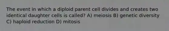 The event in which a diploid parent cell divides and creates two identical daughter cells is called? A) meiosis B) genetic diversity C) haploid reduction D) mitosis