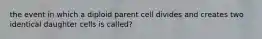 the event in which a diploid parent cell divides and creates two identical daughter cells is called?