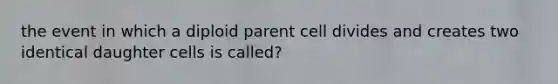 the event in which a diploid parent cell divides and creates two identical daughter cells is called?