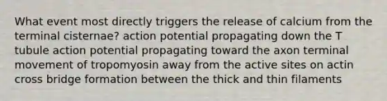 What event most directly triggers the release of calcium from the terminal cisternae? action potential propagating down the T tubule action potential propagating toward the axon terminal movement of tropomyosin away from the active sites on actin cross bridge formation between the thick and thin filaments