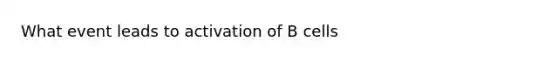 What event leads to activation of B cells