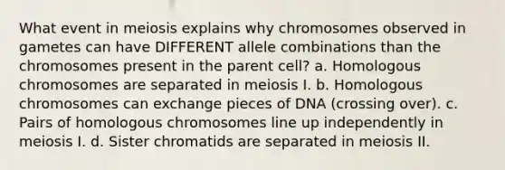 What event in meiosis explains why chromosomes observed in gametes can have DIFFERENT allele combinations than the chromosomes present in the parent cell? a. Homologous chromosomes are separated in meiosis I. b. Homologous chromosomes can exchange pieces of DNA (crossing over). c. Pairs of homologous chromosomes line up independently in meiosis I. d. Sister chromatids are separated in meiosis II.