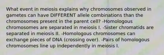 What event in meiosis explains why chromosomes observed in gametes can have DIFFERENT allele combinations than the chromosomes present in the parent cell? -Homologous chromosomes are separated in meiosis I. -Sister chromatids are separated in meiosis II. -Homologous chromosomes can exchange pieces of DNA (crossing over). -Pairs of homologous chromosomes line up independently in meiosis I.