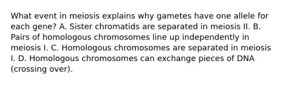 What event in meiosis explains why gametes have one allele for each gene? A. Sister chromatids are separated in meiosis II. B. Pairs of homologous chromosomes line up independently in meiosis I. C. Homologous chromosomes are separated in meiosis I. D. Homologous chromosomes can exchange pieces of DNA (crossing over).