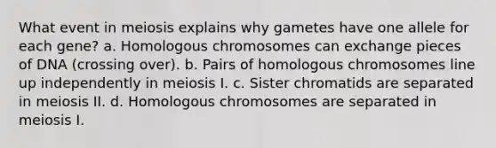 What event in meiosis explains why gametes have one allele for each gene? a. Homologous chromosomes can exchange pieces of DNA (crossing over). b. Pairs of homologous chromosomes line up independently in <a href='https://www.questionai.com/knowledge/krlvDMYQWR-meiosis-i' class='anchor-knowledge'>meiosis i</a>. c. Sister chromatids are separated in meiosis II. d. Homologous chromosomes are separated in meiosis I.