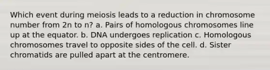 Which event during meiosis leads to a reduction in chromosome number from 2n to n? a. Pairs of homologous chromosomes line up at the equator. b. DNA undergoes replication c. Homologous chromosomes travel to opposite sides of the cell. d. Sister chromatids are pulled apart at the centromere.