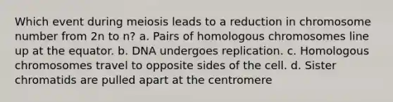 Which event during meiosis leads to a reduction in chromosome number from 2n to n? a. Pairs of homologous chromosomes line up at the equator. b. DNA undergoes replication. c. Homologous chromosomes travel to opposite sides of the cell. d. Sister chromatids are pulled apart at the centromere